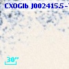 CXOGlb J002415.5-720221