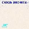CXOGlb J002407.6-720329