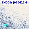 CXOGlb J002420.4-720722