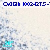 CXOGlb J002427.5-720626