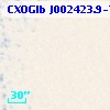 CXOGlb J002423.9-720414