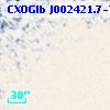 CXOGlb J002421.7-720252