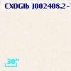 CXOGlb J002408.2-720419