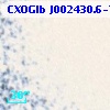 CXOGlb J002430.6-720532