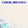 CXOGlb J002418.5-720606