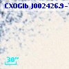 CXOGlb J002426.9-720241