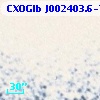 CXOGlb J002403.6-720657