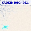 CXOGlb J002420.1-720306