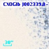 CXOGlb J002339.0-720348