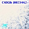 CXOGlb J002344.2-720646