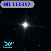 HD 111317