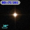 BD+75   501