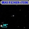 IRAS F12419+7336