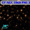 Cl* NGC 3960    PMS  300727