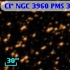 Cl* NGC 3960    PMS  301121