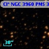 Cl* NGC 3960    PMS  301726