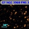 Cl* NGC 3960    PMS  301158