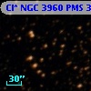 Cl* NGC 3960    PMS  301801