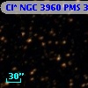 Cl* NGC 3960    PMS  300518
