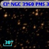 Cl* NGC 3960    PMS  300840