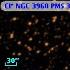 Cl* NGC 3960    PMS  300788