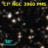 Cl* NGC 3960    PMS  300283