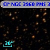 Cl* NGC 3960    PMS  300280