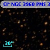Cl* NGC 3960    PMS  300511