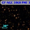 Cl* NGC 3960    PMS  300514