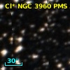 2MASS J11504744-5543506