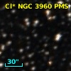 Cl* NGC 3960    PMS  300073