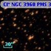 Cl* NGC 3960    PMS  300700