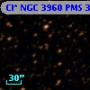 Cl* NGC 3960    PMS  300576