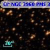 Cl* NGC 3960    PMS  300694