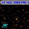 Cl* NGC 3960    PMS  300935