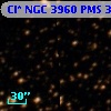 Cl* NGC 3960    PMS  301360