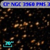 Cl* NGC 3960    PMS  301076
