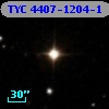 TYC 4407-1204-1