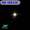 HD 109116