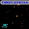 CXOGCS J174221.4-294648