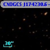 CXOGCS J174230.6-294321