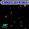 CXOGCS J174236.8-293825