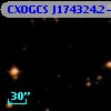 CXOGCS J174324.2-295033