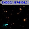 CXOGCS J174420.2-285944