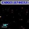 CXOGCS J174427.7-293141