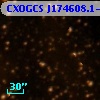 CXOGCS J174608.1-291635
