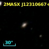 2MASX J12310667+7302267