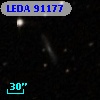 LEDA   91177