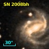 SN 2008bh