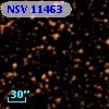 NSV 11463